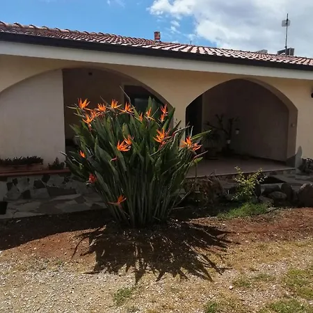 Panzió Da Patrizia *